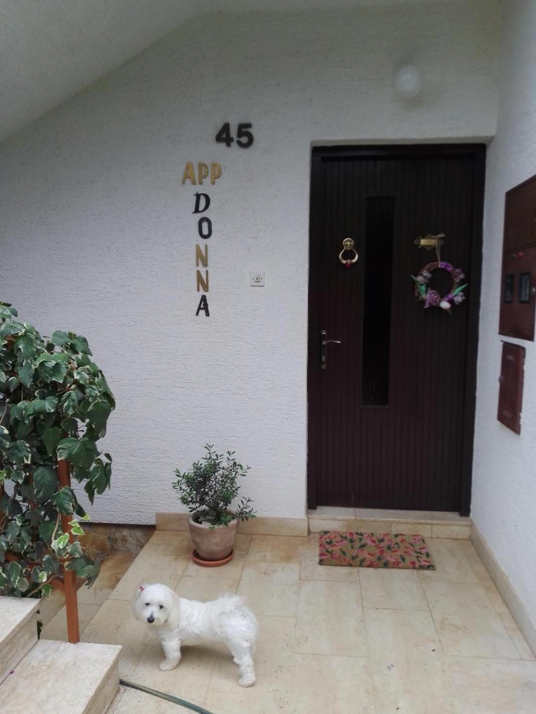 Apartmani Donna Poreč Exterior foto