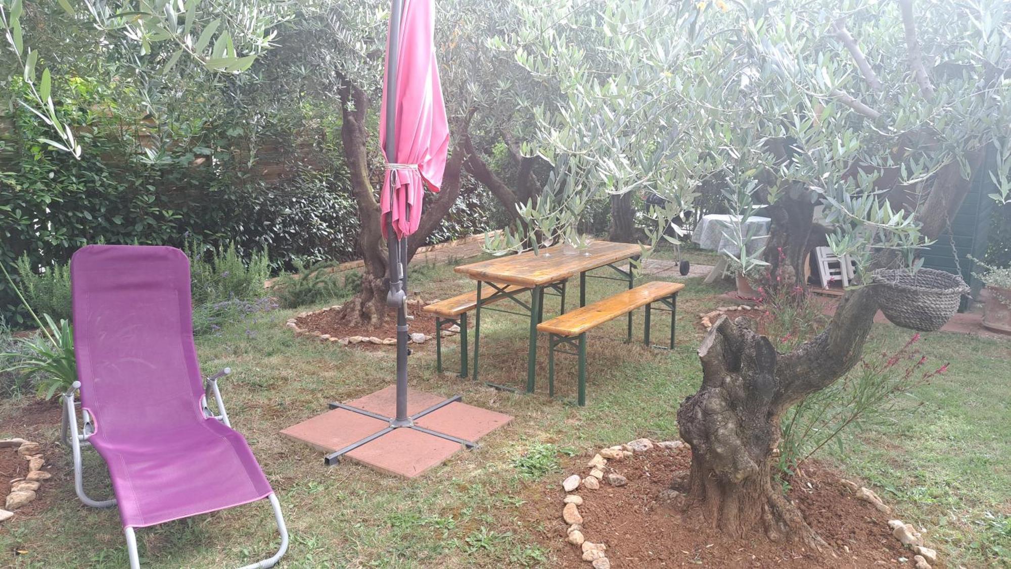 Apartmani Donna Poreč Exterior foto
