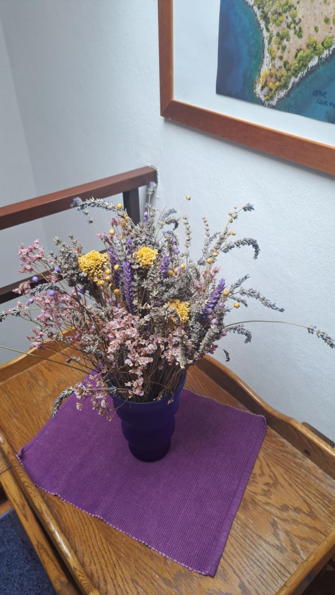 Apartmani Donna Poreč Exterior foto