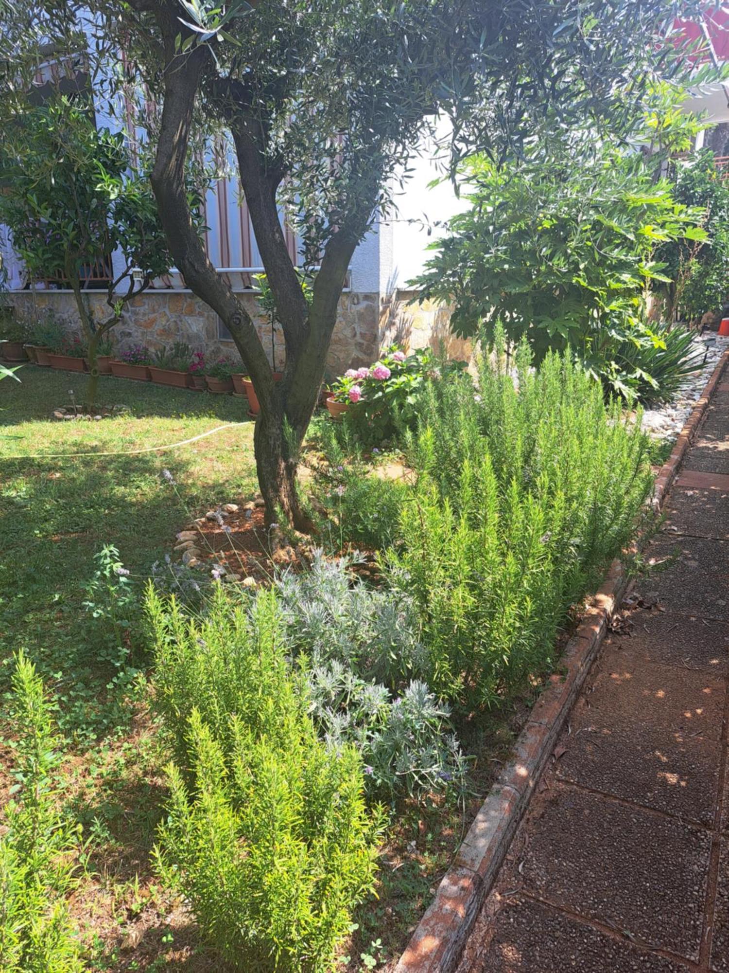 Apartmani Donna Poreč Exterior foto