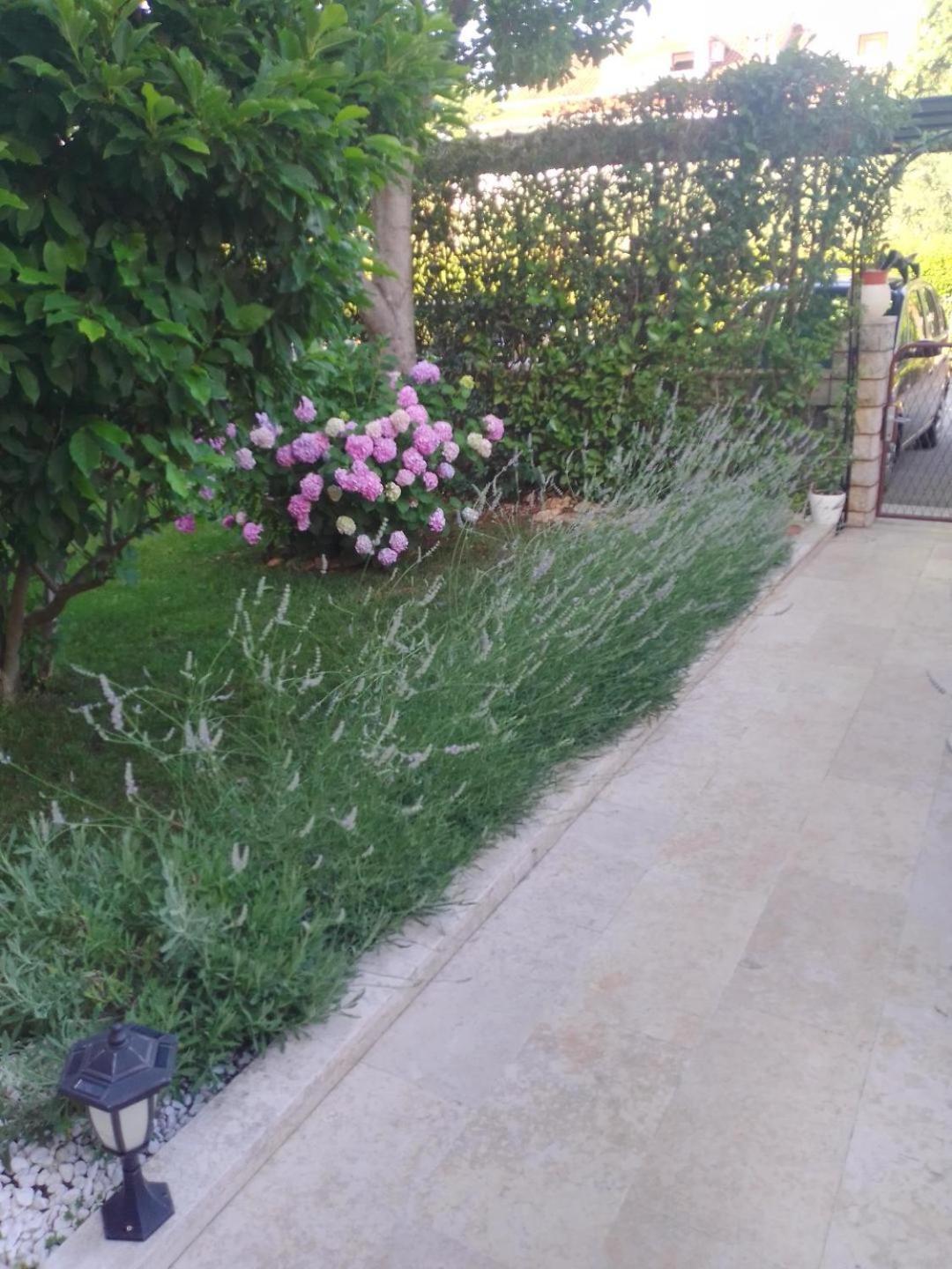 Apartmani Donna Poreč Exterior foto